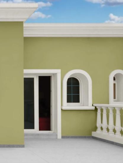 Wallpaint & Moulding